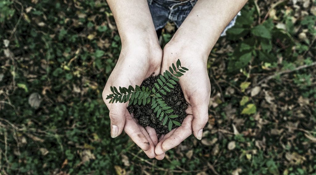 ecologia