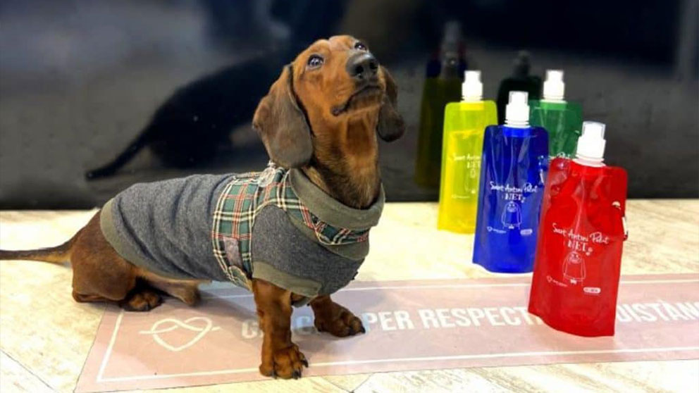 garrafas para cães personalizadas