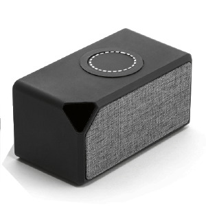 Coluna lateral
