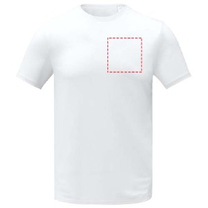 parte esquerda do peito