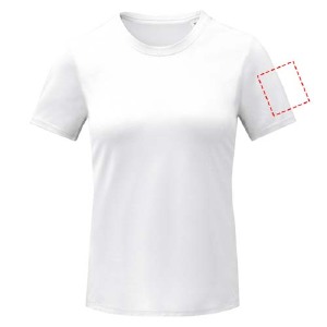 parte esquerda do peito