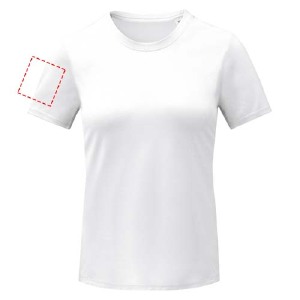 parte esquerda do peito