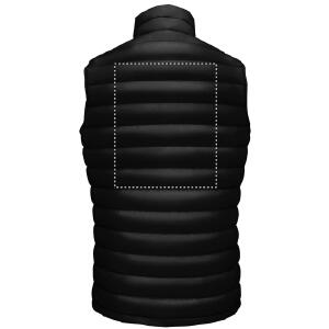 Chest