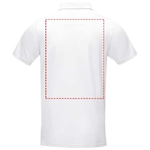 parte esquerda do peito