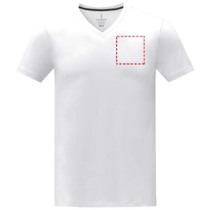 parte esquerda do peito