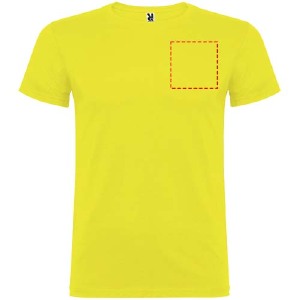 parte esquerda do peito