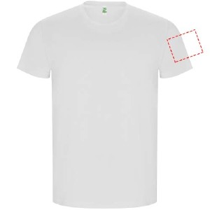 parte esquerda do peito