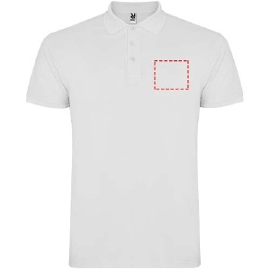 parte esquerda do peito