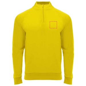 parte esquerda do peito