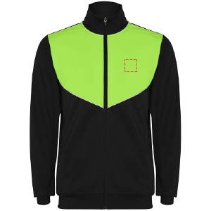 parte esquerda do peito