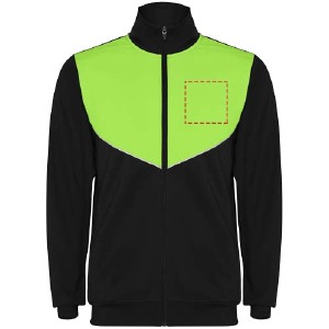 parte esquerda do peito