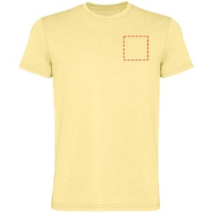 parte esquerda do peito