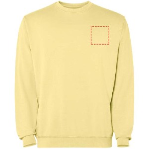 parte esquerda do peito