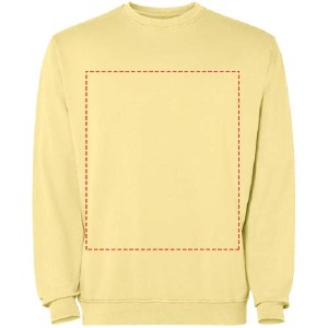 parte esquerda do peito