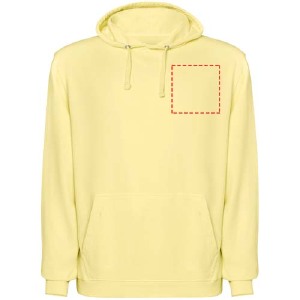 parte esquerda do peito