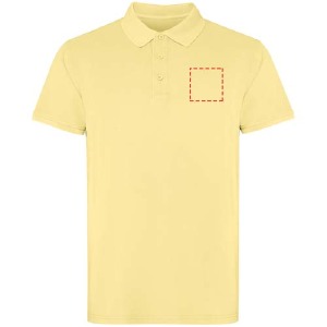 parte esquerda do peito