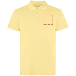 parte esquerda do peito