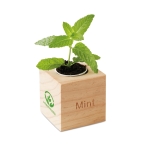 Vaso personalizado com sementes de menta na caixa EcoMint cor madeira vista principal terceira vista