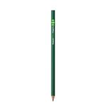 Lápis BIC® Evolution® Ecolutions® cor verde