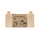 Kit de cultivo de morangos em caixa de madeira Mini-horta Strawberry cor madeira sexta vista