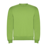Jersey de algodão e poliéster de malha unissexo 280 g/m2 Roly cor verde-lima