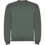 Jersey de algodão e poliéster de malha unissexo 280 g/m2 Roly cor verde oliva