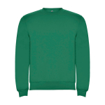 Jersey de algodão e poliéster de malha para crianças 280 g/m2 Roly cor verde