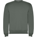 Jersey de algodão e poliéster de malha para crianças 280 g/m2 Roly cor verde oliva