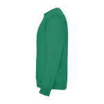Jersey de algodão e poliéster de malha para crianças 280 g/m2 Roly vista lateral