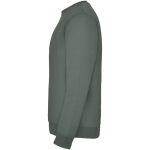 Jersey de algodão e poliéster de malha para crianças 280 g/m2 Roly vista lateral