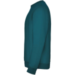Jersey de algodão e poliéster de malha para crianças 280 g/m2 Roly vista lateral