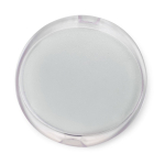 Estojo de plástico para folhas de sabão solúveis em água cor branco