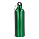 Garrafa de aço inoxidável reciclado em cores metalizadas 750 ml cor verde-lima