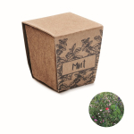Vaso cúbico e biodegradável de sementes de menta feito na UE cor bege