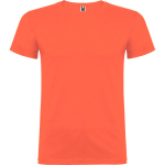 T-shirt de manga curta algodão/malha lisa 155 g/m2 Roly Direct Beagle cor turquesa primeira vista de uso
