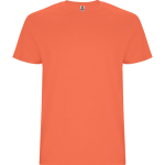 T-shirt de manga curta de algodão 190 g/m2 Roly Direct Stafford cor turquesa primeira vista de uso