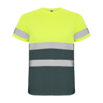 T-shirt técnica de trabalho de alta visibilidade 130 g/m2 Roly Delta cor cinzento topo segunda vista