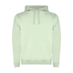 Camisola de algodão e poliéster 280 g/m2 Roly Direct Urban cor verde suave segunda vista