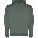 Camisola de algodão e poliéster 280 g/m2 Roly Direct Urban cor verde militar primeira vista de uso