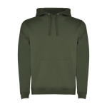 Camisola de algodão e poliéster 280 g/m2 Roly Direct Urban cor verde-escuro segunda vista