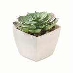 Planta mini artificial de PP, forma suculenta echeveria cor branco