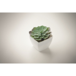 Planta mini artificial de PP, forma suculenta echeveria cor branco vista fotografia quarta vista