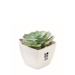 Planta mini artificial de PP, forma suculenta echeveria cor branco vista principal