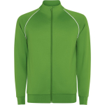 Sweatshirt desportiva unissexo com gola alta 210 g/m2 Roly Direct Valier cor verde primeira vista de uso