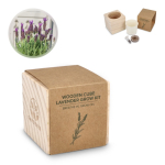 Kit de cultivo de lavanda com vaso e substrato de coco