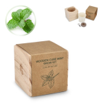 Kit de cultivo de menta com vaso e substrato de coco