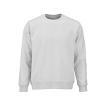 Sweatshirt unissexo de algodão orgânico em felpa escovada 300 g/m² Waikiki cor cinzento-claro vista frontal 