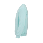 Sweatshirt unissexo de algodão orgânico em felpa escovada 300 g/m² Waikiki cor verde-claro terceira vista 
