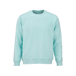 Sweatshirt unissexo de algodão orgânico em felpa escovada 300 g/m² Waikiki cor verde-claro vista frontal 