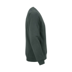 Sweatshirt unissexo de algodão orgânico em felpa escovada 300 g/m² Waikiki cor verde-escuro segunda vista